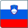 Slovenia flag